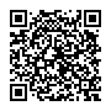QR code for ZMM411