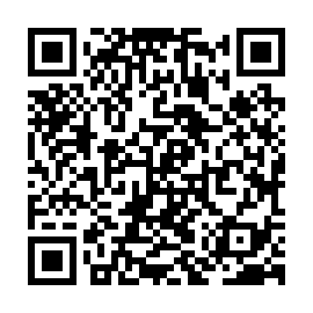 QR code for ZMZ239