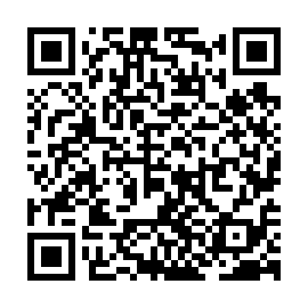QR code for ZNN619