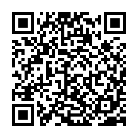 QR code for ZNY995