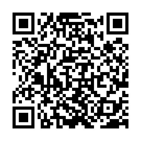 QR code for ZOL539