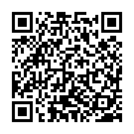 QR code for ZPJ509