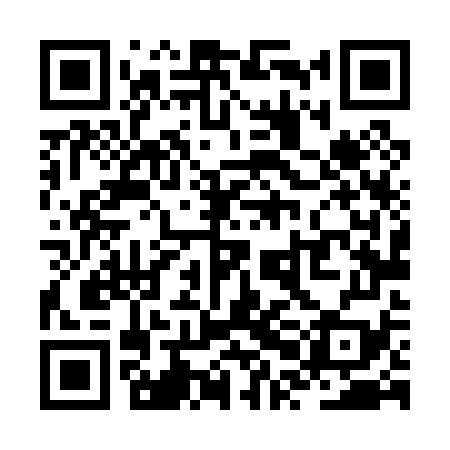 QR code for ZPL079