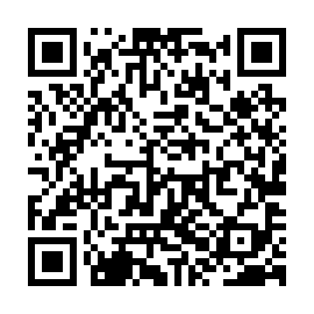QR code for ZPL299