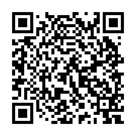QR code for ZPP293