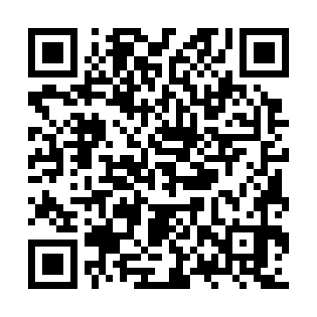 QR code for ZPU370
