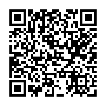 QR code for ZPV318