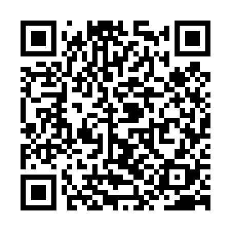 QR code for ZQG428