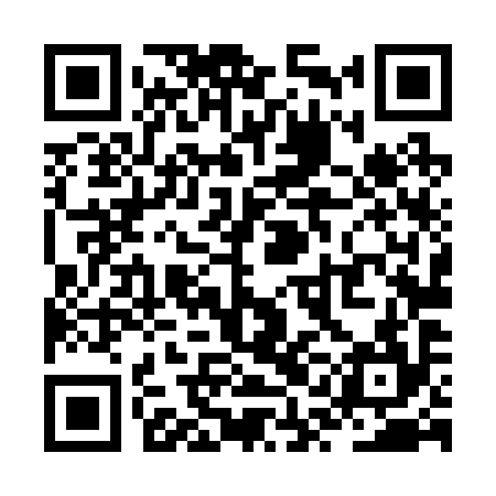 QR code for ZQL294