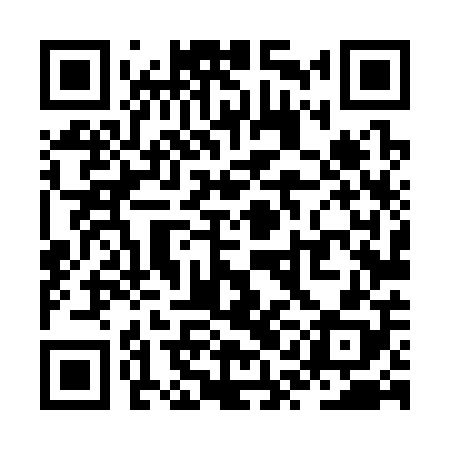 QR code for ZQL308