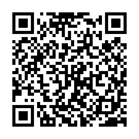 QR code for ZQY491
