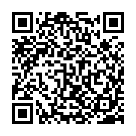 QR code for ZSI990