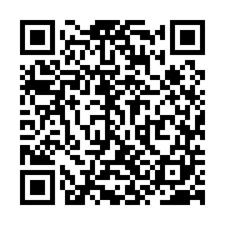 QR code for ZSM141