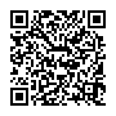 QR code for ZSM310