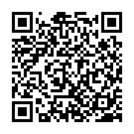 QR code for ZSM311