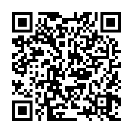 QR code for ZSN968