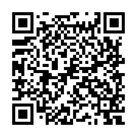 QR code for ZSP993