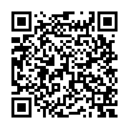 QR code for ZSS100