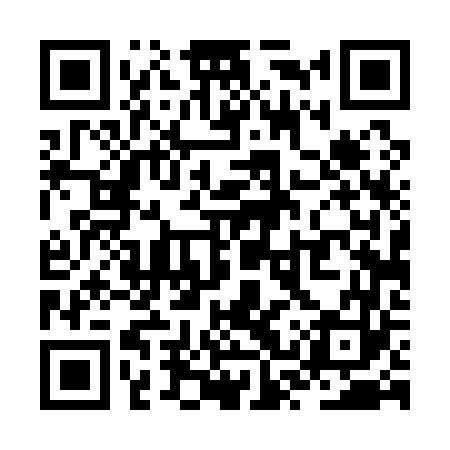 QR code for ZST163