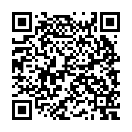 QR code for ZST213