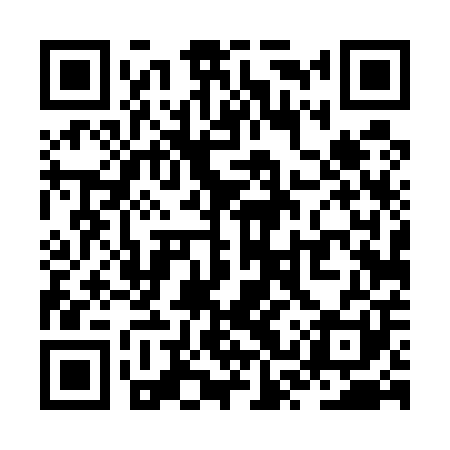 QR code for ZST501