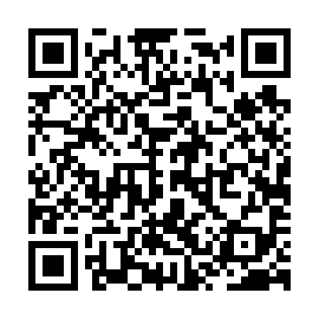 QR code for ZST699