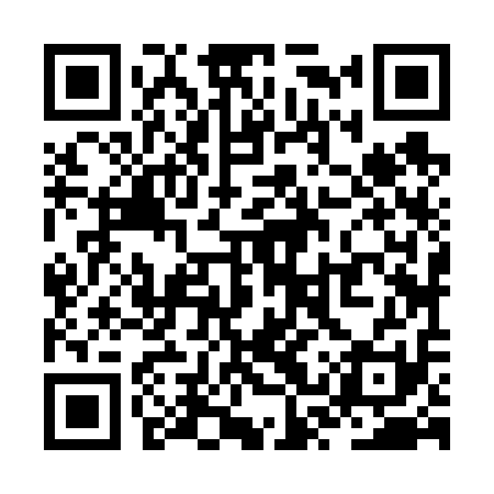 QR code for ZSZ611
