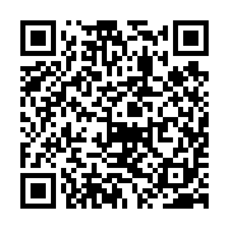 QR code for ZTQ691