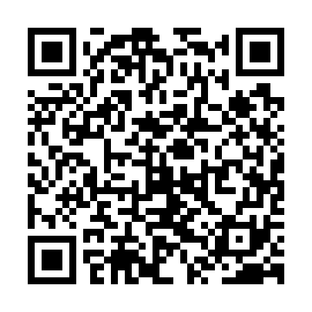 QR code for ZTQ771