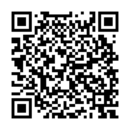 QR code for ZTR399