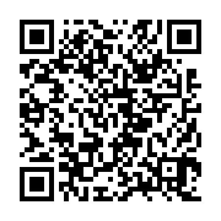 QR code for ZUB600