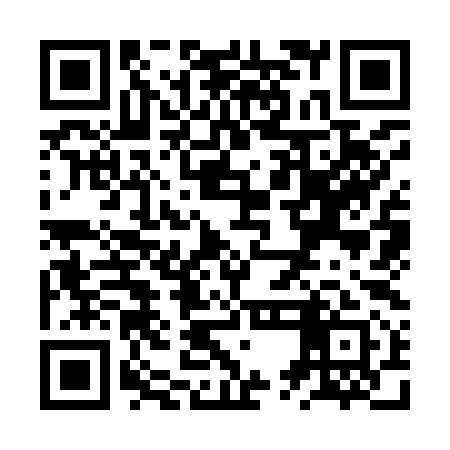 QR code for ZUK991