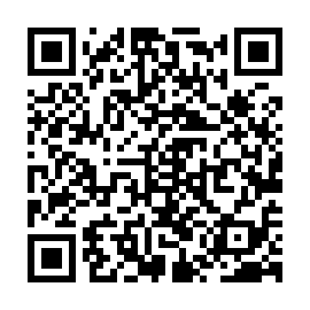 QR code for ZUL919