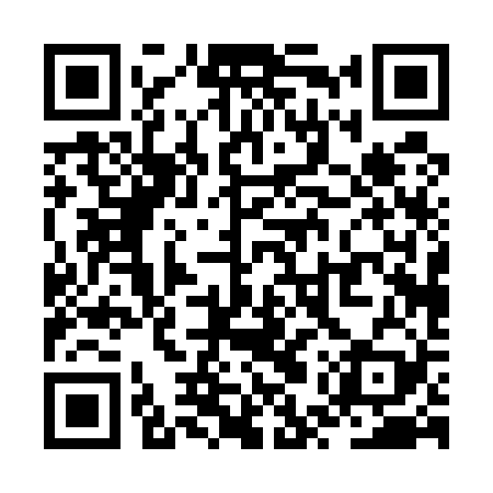 QR code for ZUP529