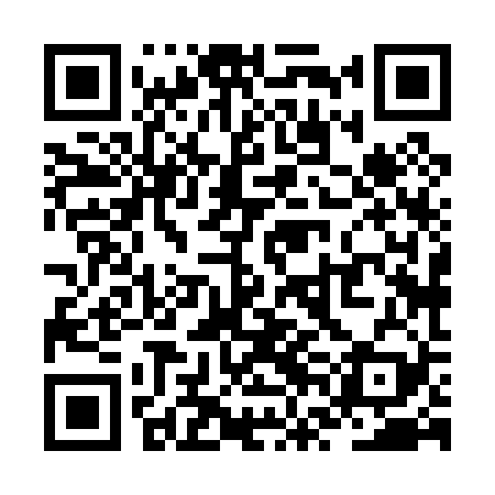 QR code for ZVH029