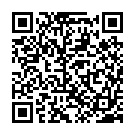 QR code for ZVI213