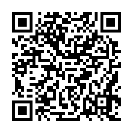 QR code for ZVI376