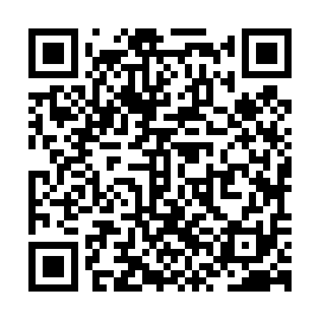 QR code for ZVJ411
