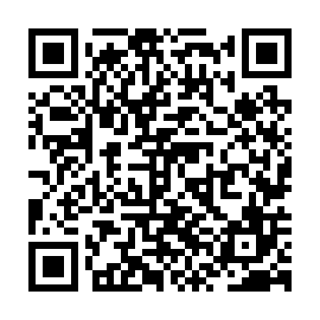 QR code for ZVN206