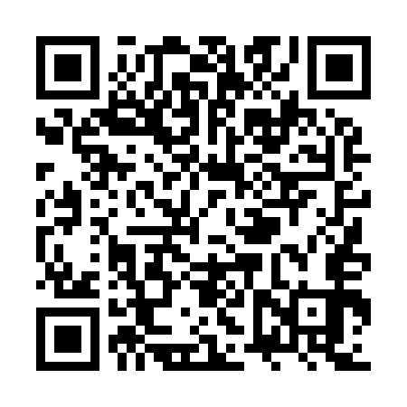 QR code for ZVT953