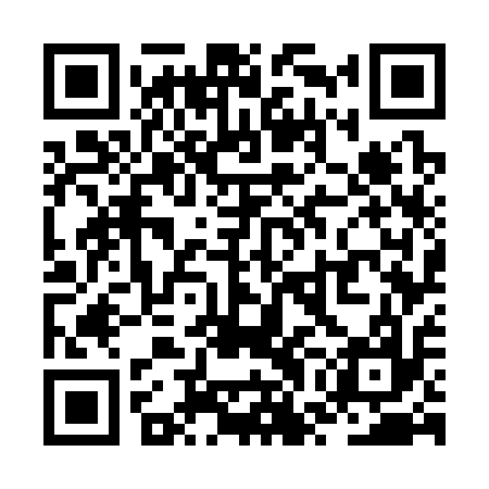 QR code for ZWG317