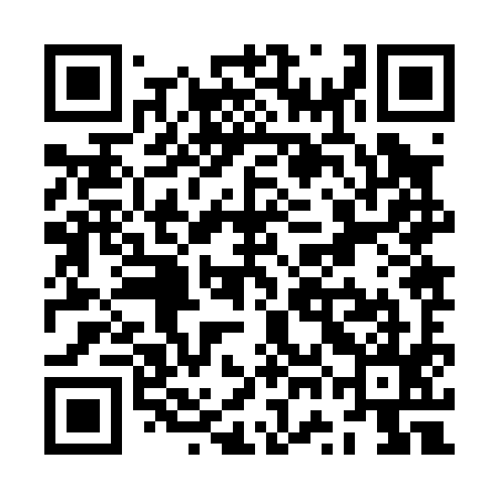 QR code for ZWJ095