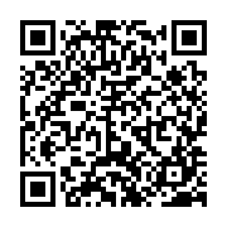 QR code for ZWO384
