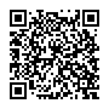 QR code for ZXD307