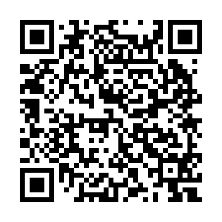 QR code for ZXK294
