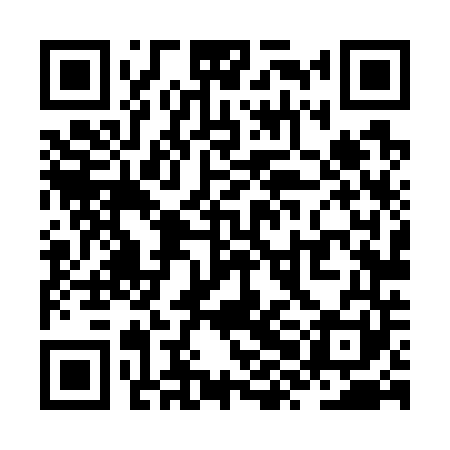 QR code for ZXL741