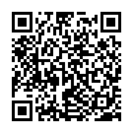 QR code for ZXN391