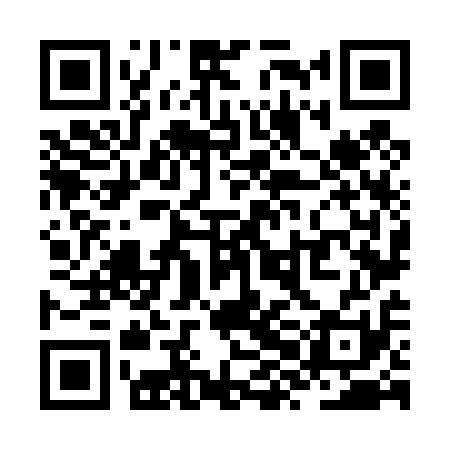 QR code for ZXN411