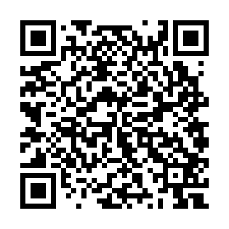 QR code for ZXV302