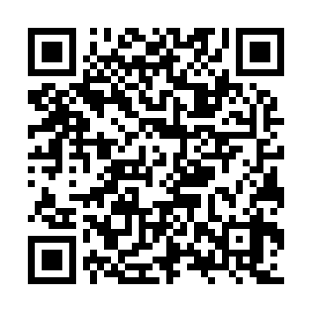 QR code for ZXW938